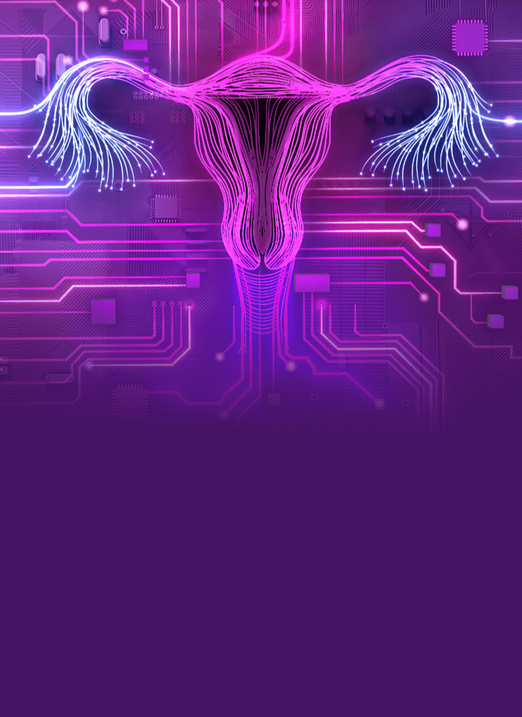 Female reproductive system header.